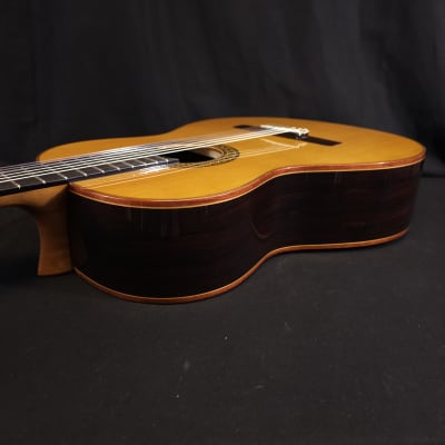Alhambra Premier Pro Madagascar Javier Mengual Classical Guitar w/Hard Cse image 15