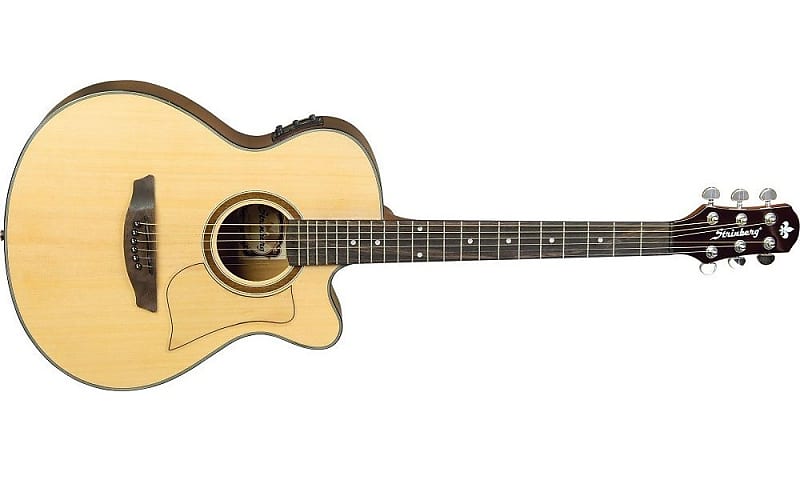 Strinberg guitar deals price