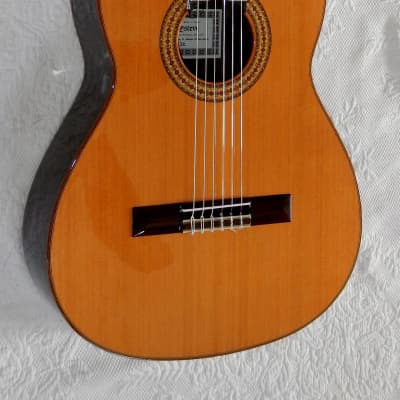 Esteve 3Z classical guitar/ Cedar top / Ziricote back and sides / Made in Spain image 2