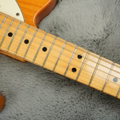 1973 Fender Telecaster Thinline + HSC image 9