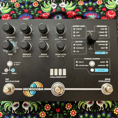 Hologram Electronics Microcosm 2022 Special Edition Black