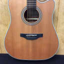 Takamine GD20CENS Acoustic/Electric Dreadnought