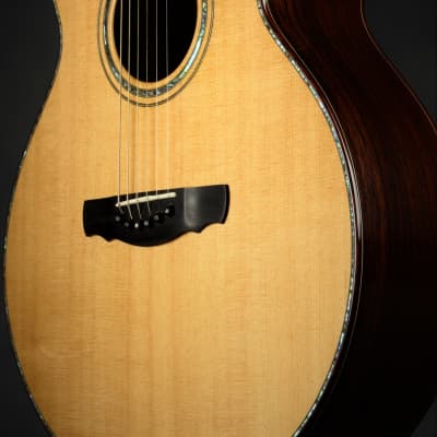 Ryan Cathedral Grand Fingerstyle - Sitka Spruce & Indian Rosewood 2003 *VIDEO* image 15
