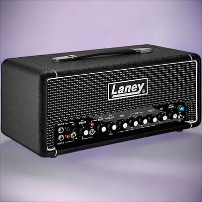 Walter Woods MI-200-8 Electracoustic Bass Amp - Recently Serviced