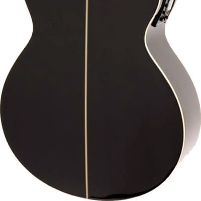 Washburn EA12B Festival Series Mini Jumbo Cutaway Basswood Top 6-String Acoustic-Electric Guitar image 7