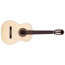 Cordoba Guitars C5 SP Nylon String Classical Acoustic Guitar, Solid Spruce Top
