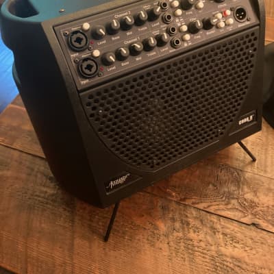 ジャンク）Acoustic Image Coda R ベース用アンプ（ジャンク