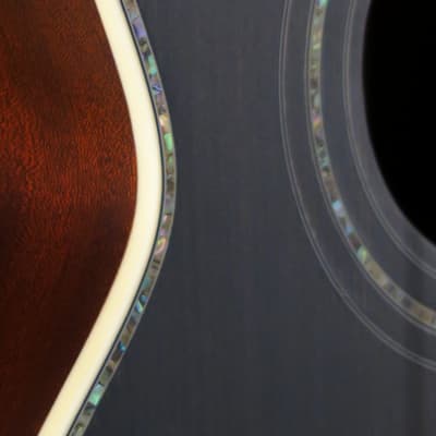 Craven Tenor Guitars 265BA ~ ACOUSTIC Shari Ulrich Songbird ~ Heirloom Black 2023 - Heirloom Black Satin image 11