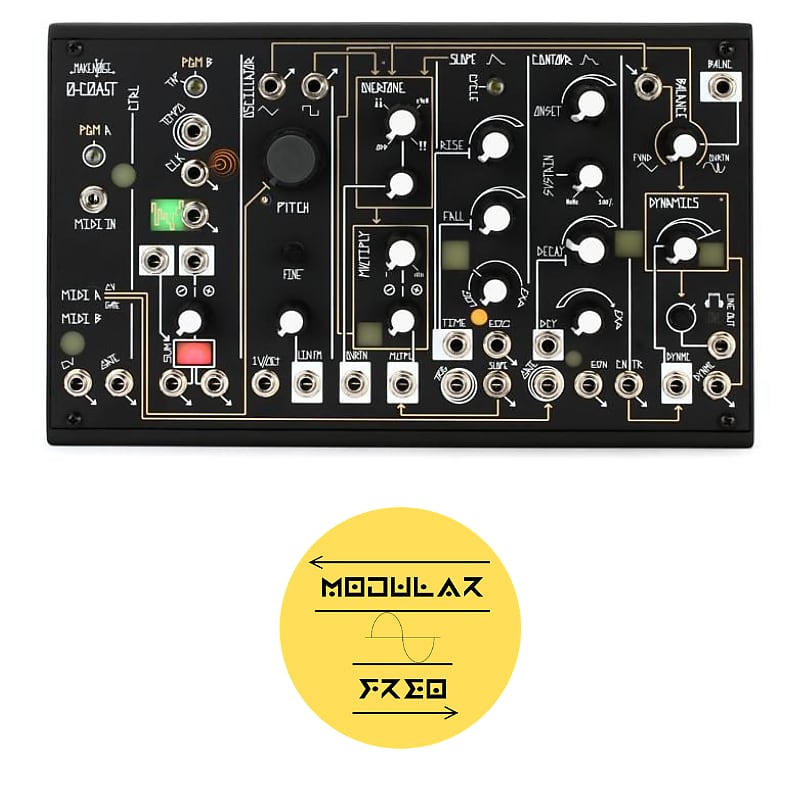Make Noise 0-Coast Patchable Synthesizer | Reverb