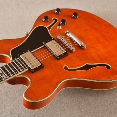 Eastman T59/V-AMB Thinline Archtop Electric Guitar Amber Antique Varnish - NEW 2023 image 6