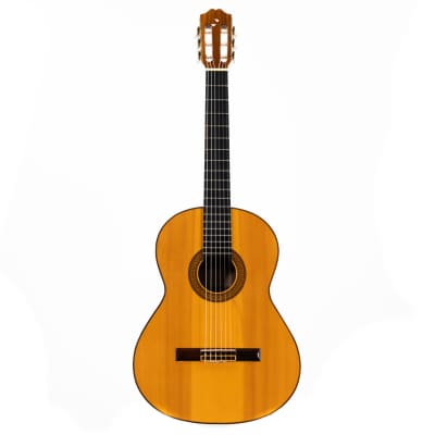 ギター cort as-e4 nat Cort AS-E4 NAT Solid Spruce Top Dreadnought Acoustic Guitar