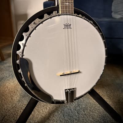Washburn Americana B10 5-String Banjo image 1