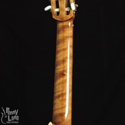 Teton STC105NT Solid Cedar Top Acoustic Classical Guitar image 6