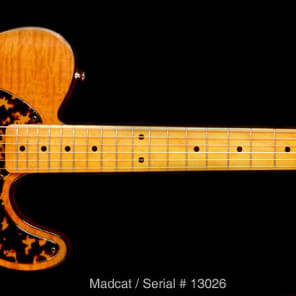 H.S. Anderson Mad Cat Vintage Reissue Guitar - H.S. Anderson Mad Cat Vintage Reissue Guitar image 2
