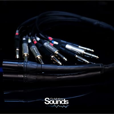 Waves Sounds TRS In 8 CH - XLR Out Summing Cable 2019 Black & Silver image 6