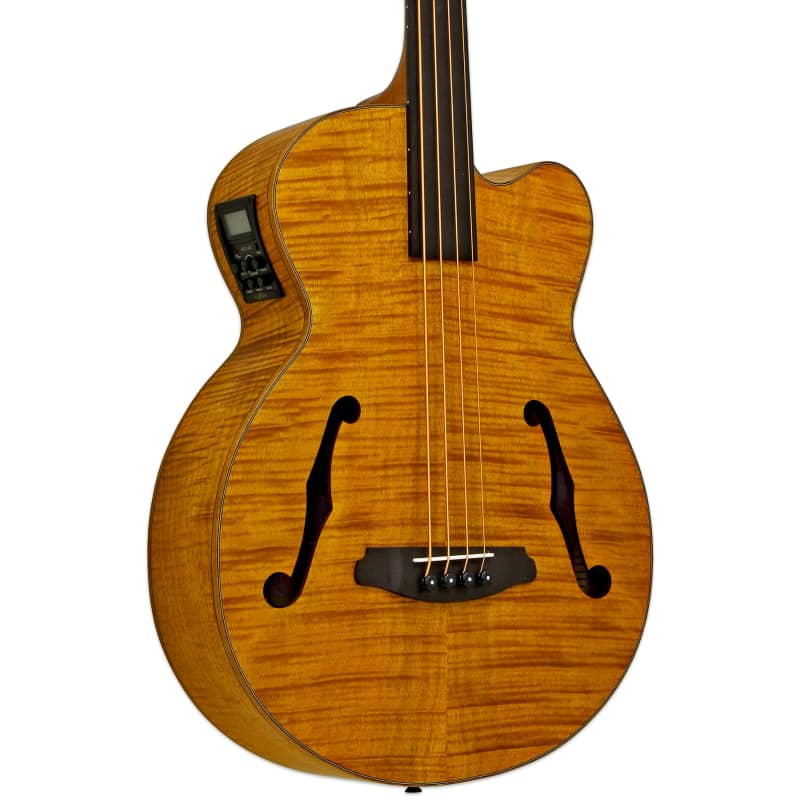 Aria FEB-F2/FL-STBR Flame Nato Top Nato Neck 4-String Fretless Acoustic  Bass Guitar w/Gig Bag - Stained Brown