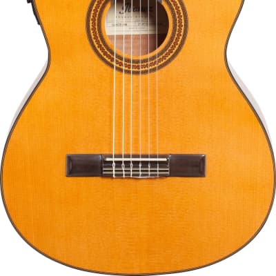 Ibanez GA6CE Classical Cutaway Acoustic-Electric Guitar