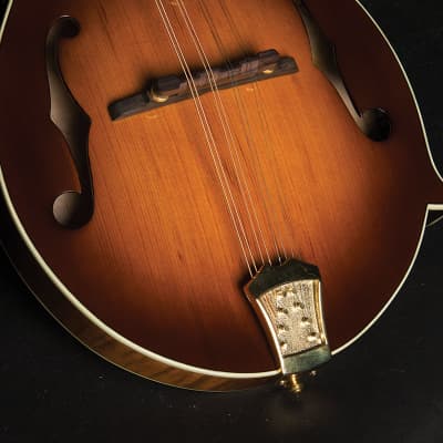 Washburn TCMF43SWK-LTD Timeless Collection Limited Edition F-Style Mandolin w/Hardshell Case image 4