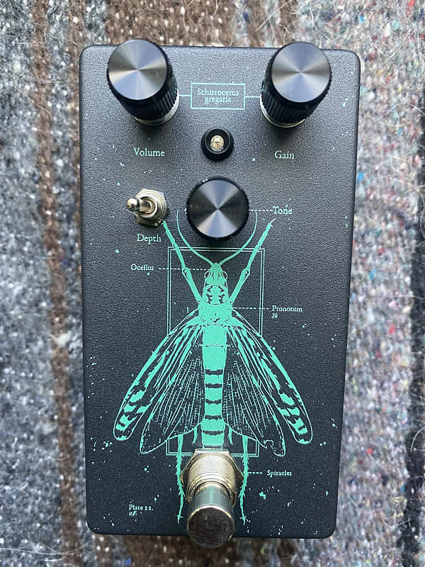 Ground Control Locust