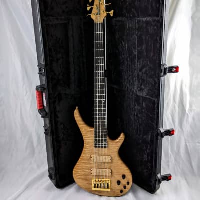 Bossa OB-5 Early 90's - Urban Jungle Bass Tropical Model