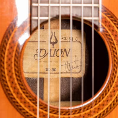 Daion DC-300 Classical Guitar image 22