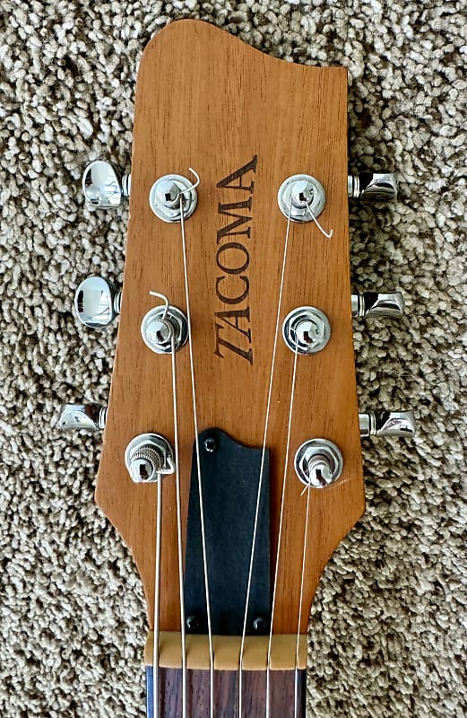 ギター TACOMA DR8C TACOMA DR8C|ドルフィンギターズ