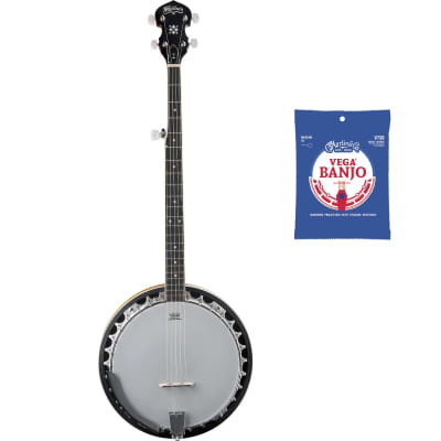 Washburn 2024 b12 banjo