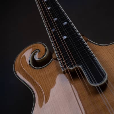Bourgeois M5-F Aged Tone F-style mandolin Brand New image 8