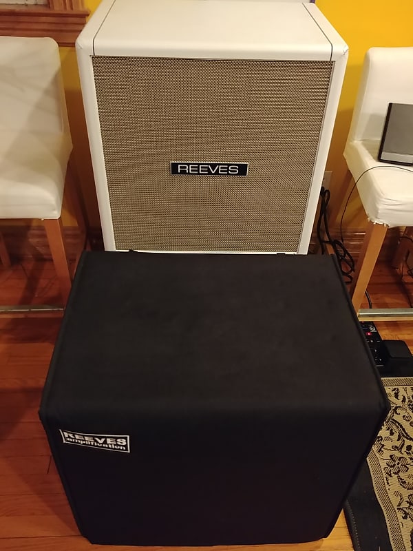 Reeves 4x10 SEALED Bass Cabinet, Logo Padded Cover & Mesa Removable Casters - 3' Cable - Ampeg SVT image 1