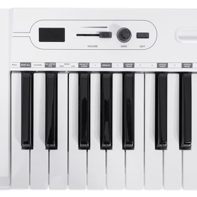 Samson Carbon 49 Key USB MIDI DJ Keyboard Controller+Software+(2) Microphones image 6