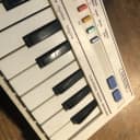 Casio PT-1 Mini Synthesizer 1982 - 1988 White