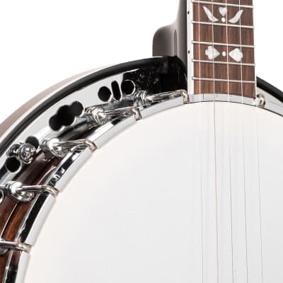 Gold Tone BG-150F: Bluegrass Banjo with Flange and Bag image 4