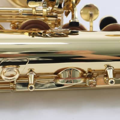 Selmer Paris Model 52AXOS Professional Alto Saxophone MINT CONDITION image 22