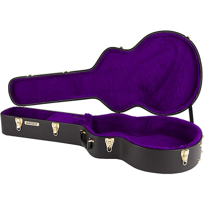 Gretsch shop resonator case