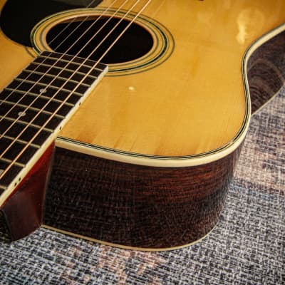 morris W-25ギター Morris W-25 Acoustic Guitar Safe delivery from Japan | eBay