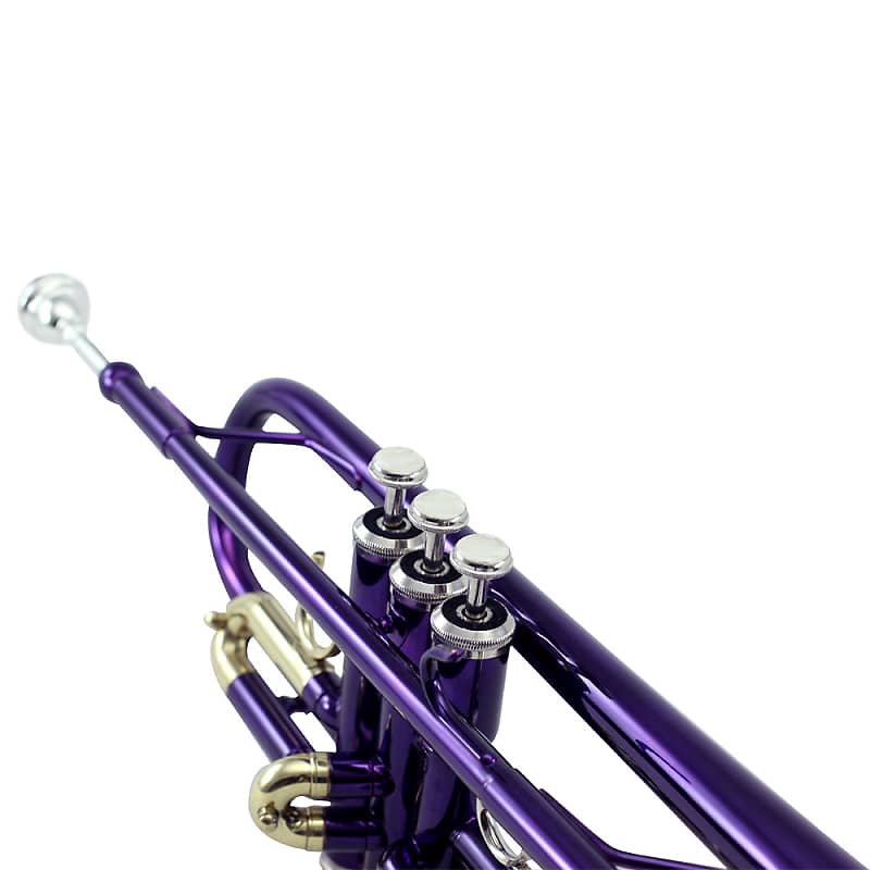 Sky Band Approved Purple Plated Bb Trumpet with Case, Cloth, Gloves and  Valve Oil