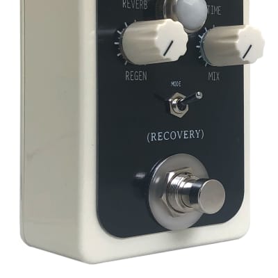 Recovery Effects and Devices Dirty Murals V3 Delay and Reverb Pedal Effect image 2