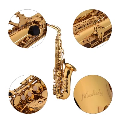 Golden Eb Alto Saxophone Sax Brass Body White Shell Keys Woodwind Instrument with Gig Bag Case image 3