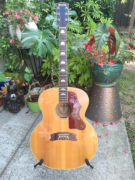 J suzuki guitar store