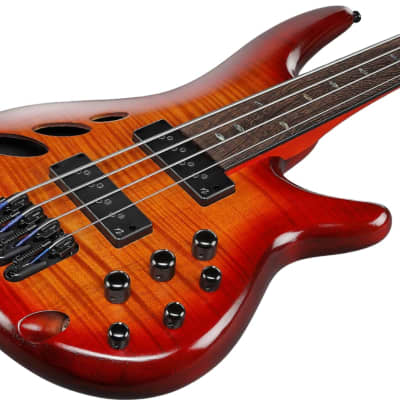 Ibanez SRD900 Fretless 4-String Exotic Maple Electric Bass, Panga Panga Fingerboard, Brown Topaz Burst image 5