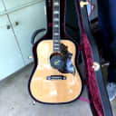 Gibson Firebird Acoustic