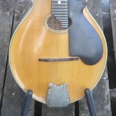 Lyon & Healy Style B mandolin, 1924 image 6