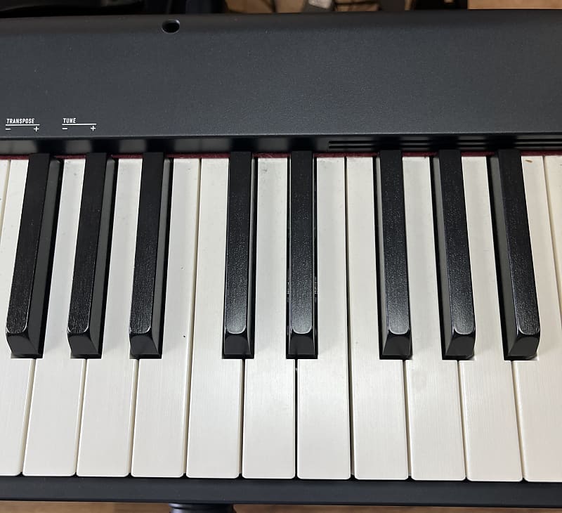 Casio CDP S100 88 Key Digital Piano Reverb