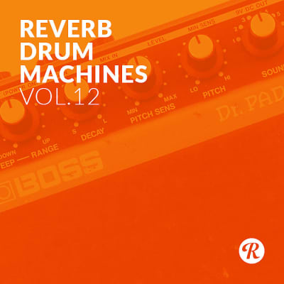 Reverb Boss Dr Pad Sample Pack image 1