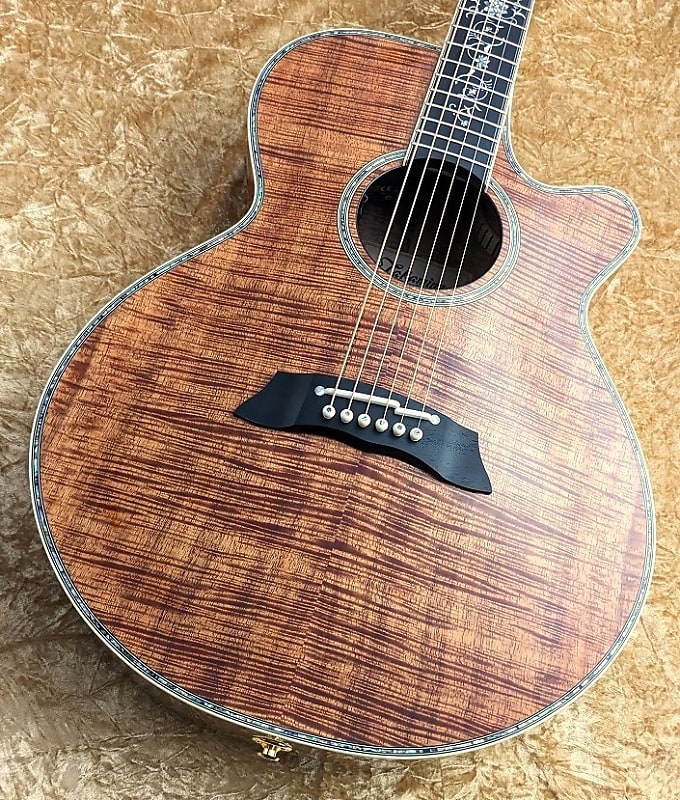 [Made in Japan] Takamine DMP100K/N [GSB019]