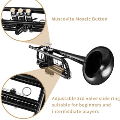 Standard Bb Black Trumpet Set - Hard Case, Gloves, 7 C Mouthpiece, Valve  Oil and Trumpet Cleaning Ki