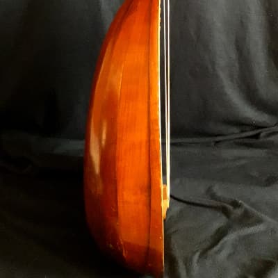 Müller Contra-lute (1920) swan neck image 14