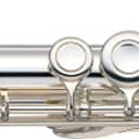Yamaha YFL-361H Flute Outfit