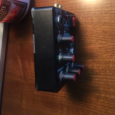 ギター Fodera Private Practice Amp GearBug - Fodera Private Practice Amp