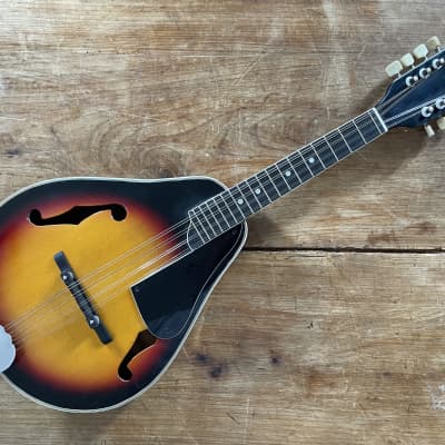 harmony mandolin フラットマンドリン 1970ビンテージ harmony mandolin フラットマンドリン 1970ビンテージ - メルカリ